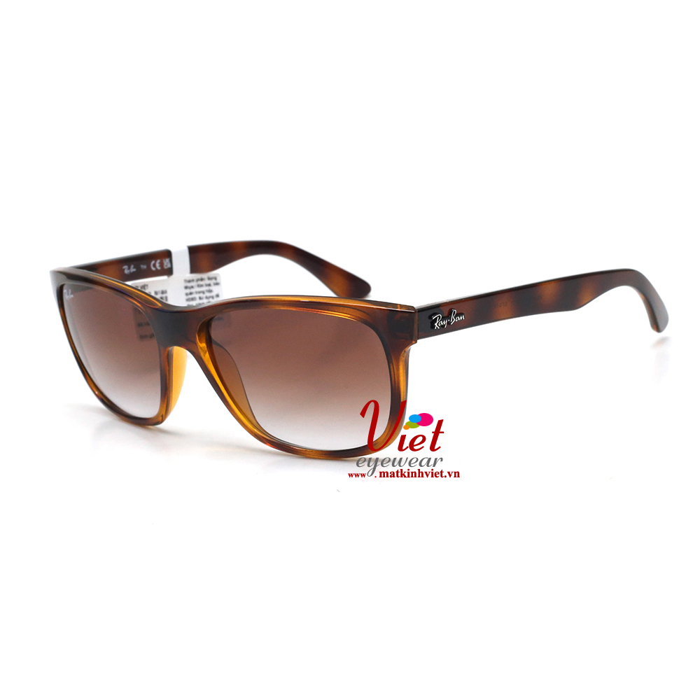 Kính mát RayBan RB4181 710/51